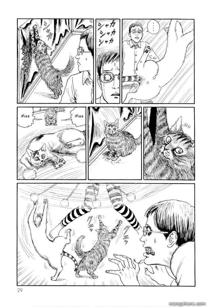 Ito Junji's Cat Diary Chapter 3 5